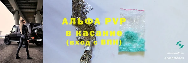 шишки Майский
